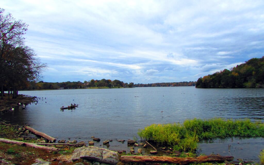 Old Hickory Lake riverbank